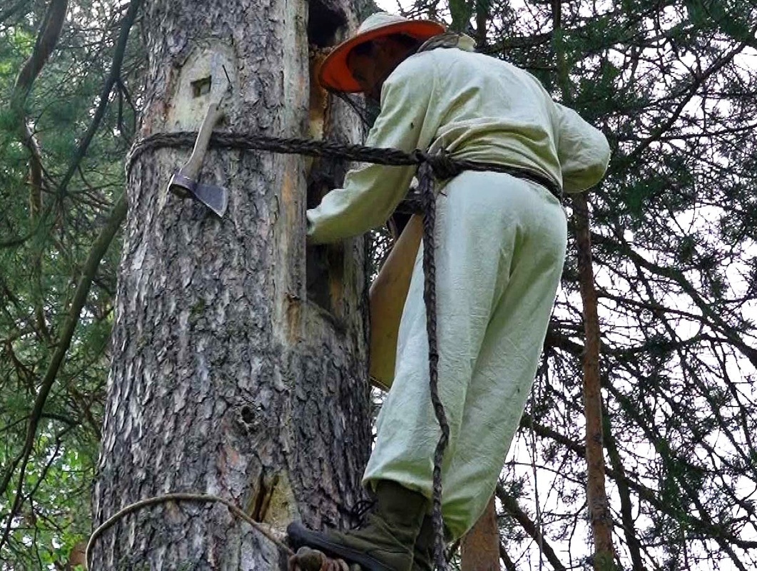 Башкирский пасечник